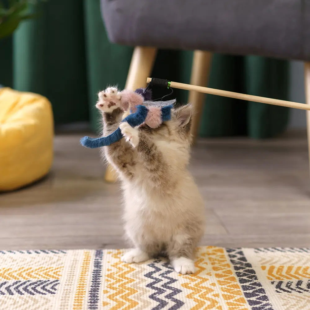 Le Chat à Trois Queues