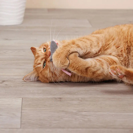 La Petite Souris