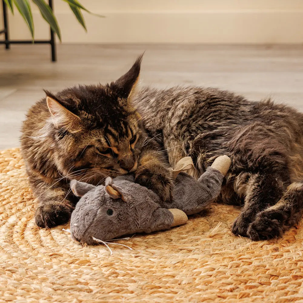 La Grande Souris