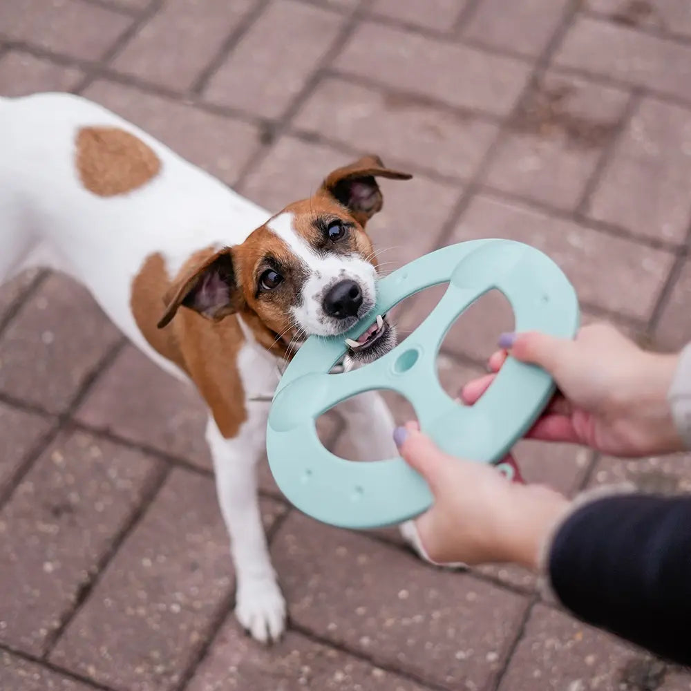 Le Frisbee