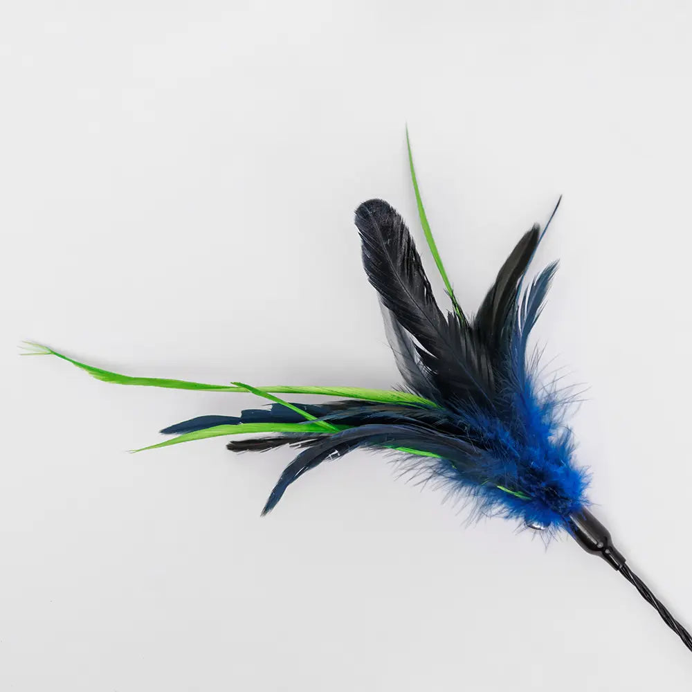 La Plume Interactive