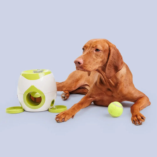 Le Défi Gourmand