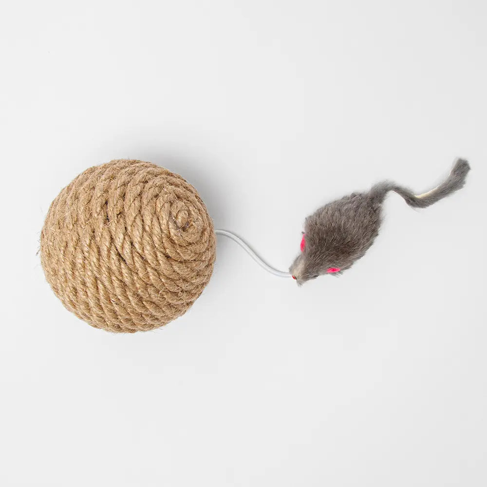 Le Ballon Griffoir